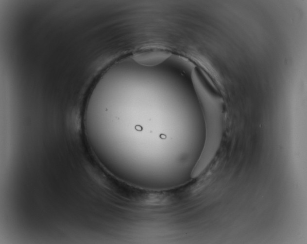 X0000093120060200710031341