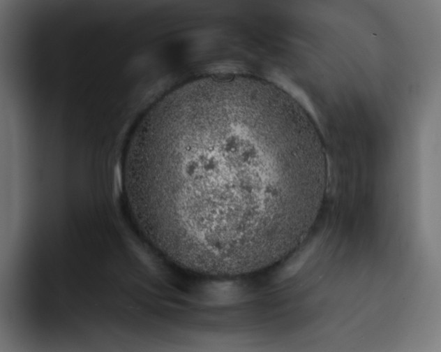 X0000093120061200710031341