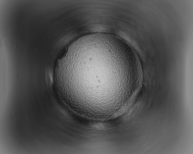 X0000093120062200710031341