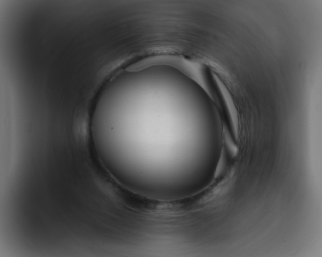 X0000093120064200710031341