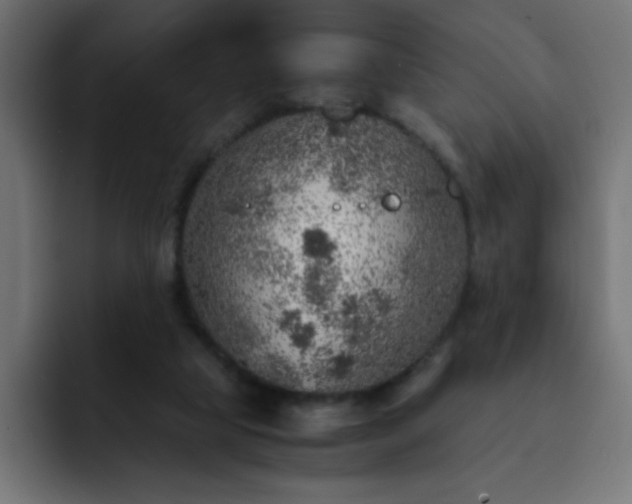 X0000093120065200710031341