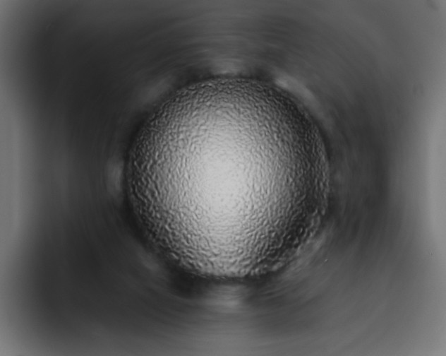 X0000093120066200710031341