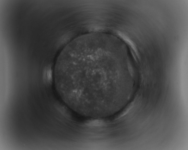 X0000093120067200710031341