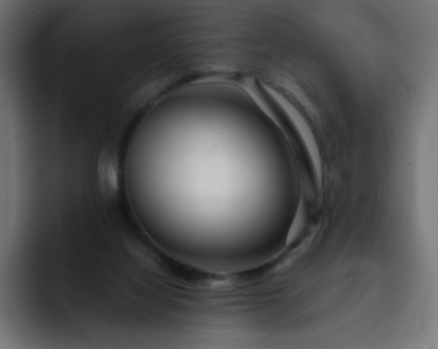 X0000093120068200710031341