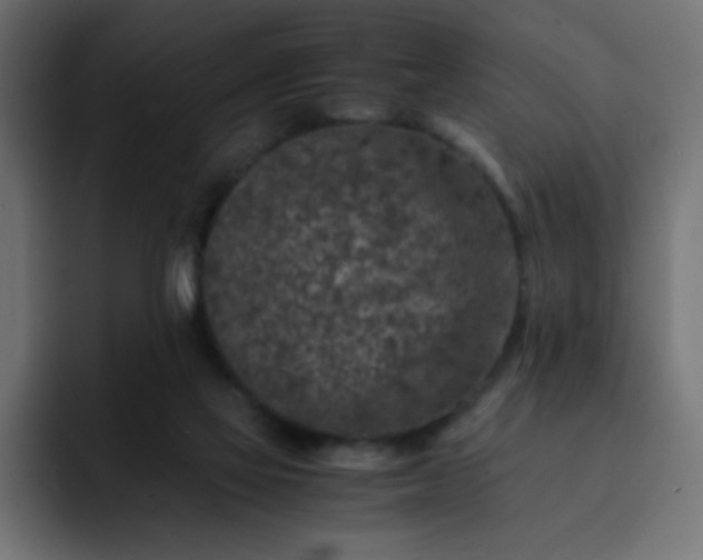 X0000093120069200710031341