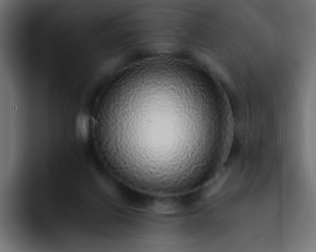 X0000093120070200710031341