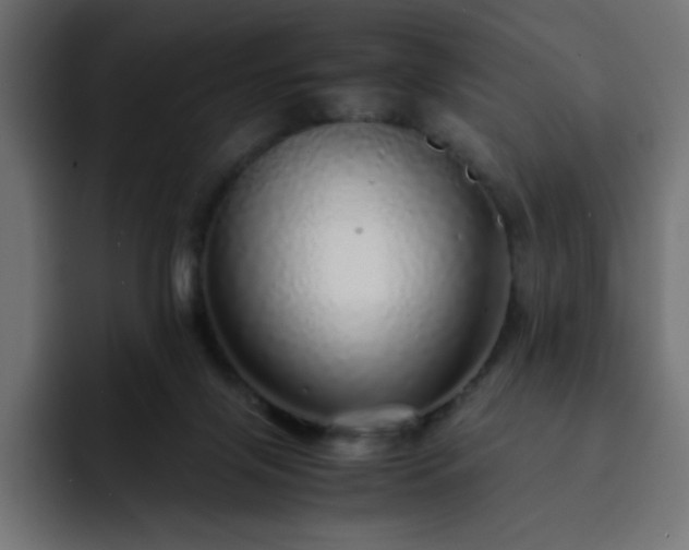 X0000093120071200710031341