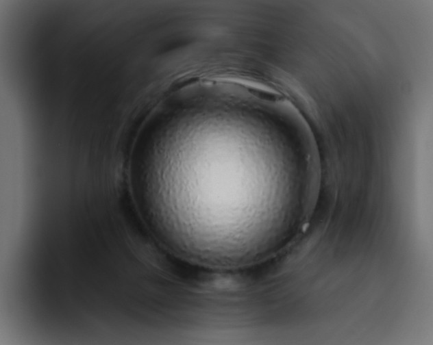 X0000093120073200710031341