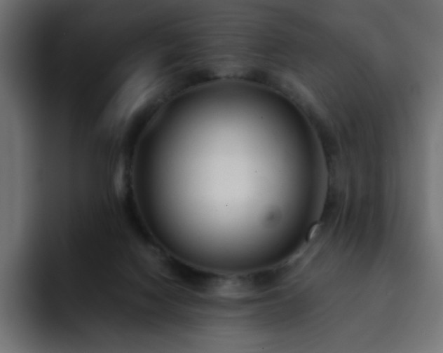 X0000093120074200710031341