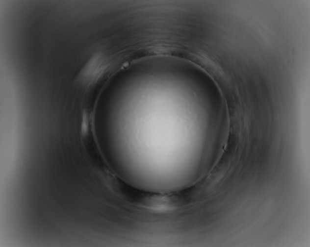 X0000093120075200710031341