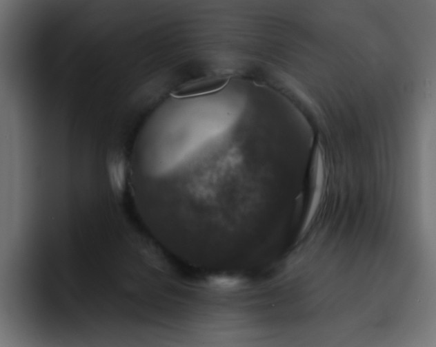 X0000093120076200710031341