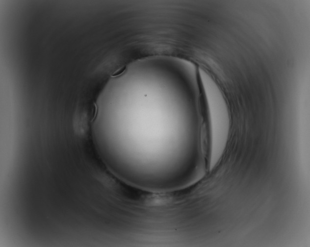 X0000093120077200710031341