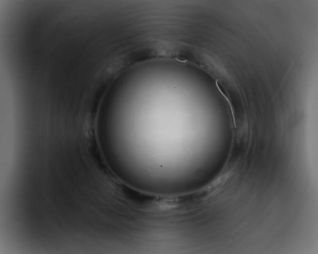 X0000093120078200710031341