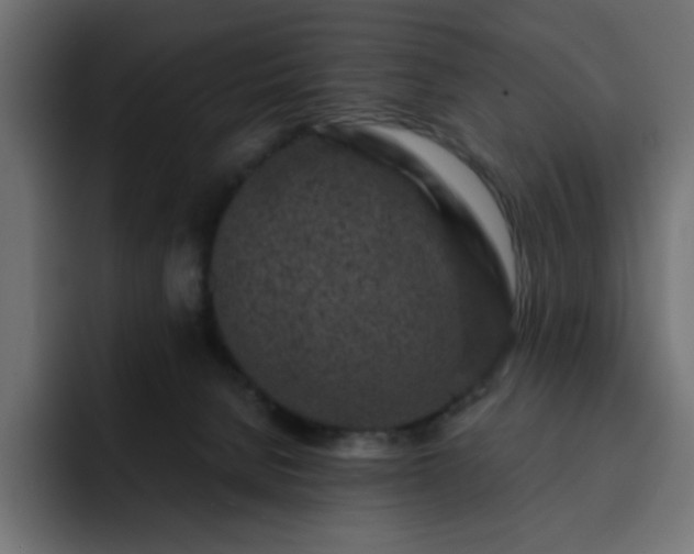 X0000093120080200710031341