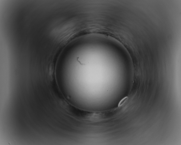 X0000093120082200710031341