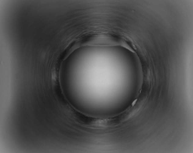 X0000093120084200710031341