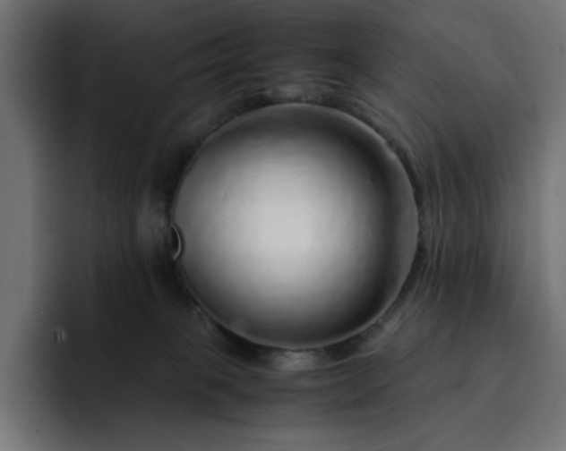 X0000093120085200710031341