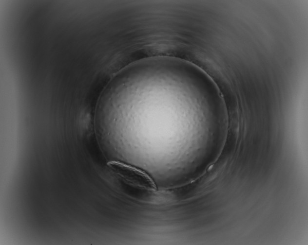 X0000093120087200710031341