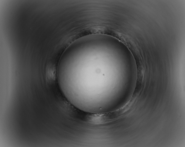 X0000093120090200710031341