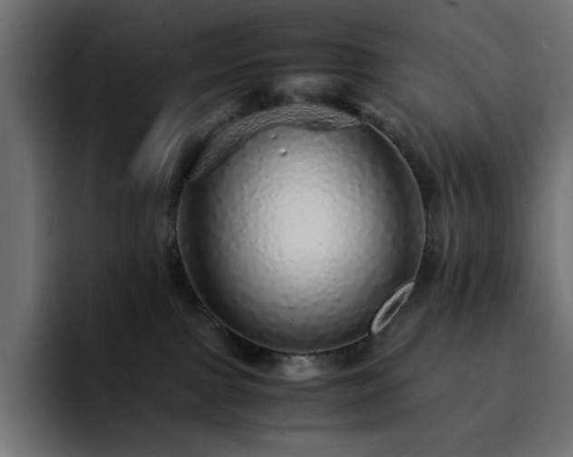 X0000093120091200710031341