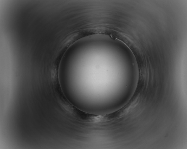 X0000093120092200710031341