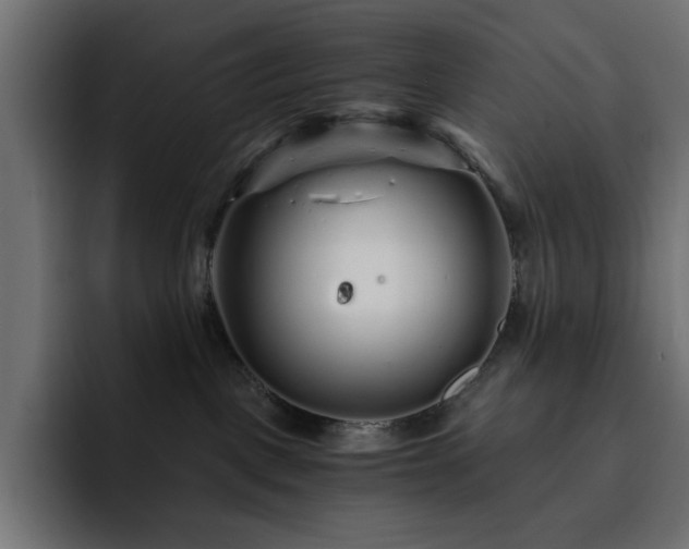 X0000093120093200710031341