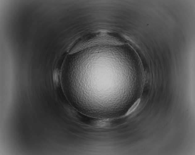 X0000093120094200710031341