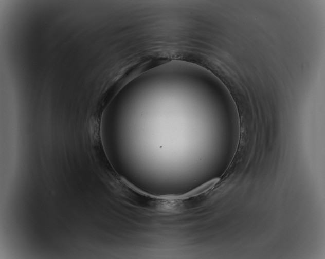 X0000093120096200710031342