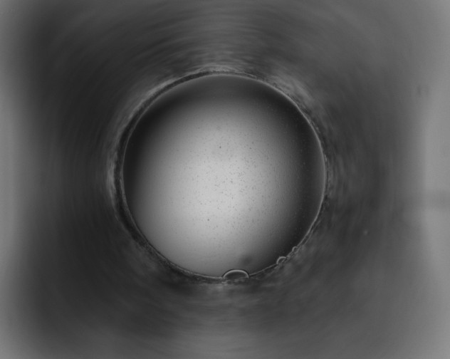 X0000093120098200710031341