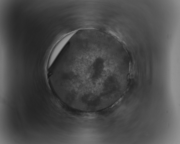 X0000093120099200710031341