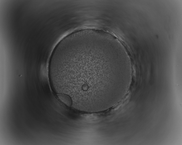 X0000093120100200710031341