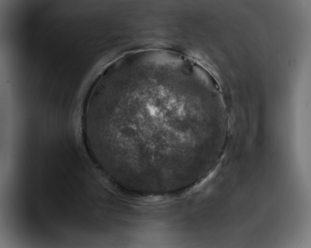 X0000093120101200710031341