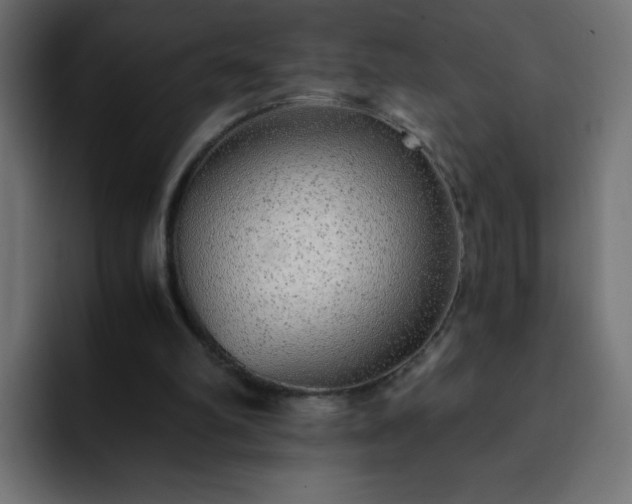 X0000093120102200710031341