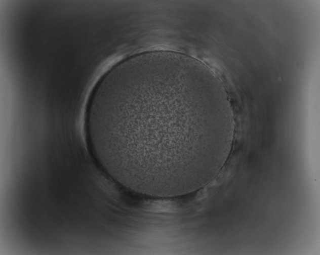 X0000093120104200710031341