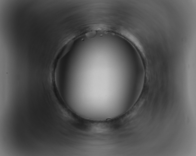 X0000093120105200710031341