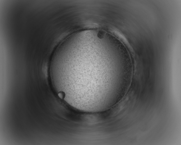 X0000093120106200710031341