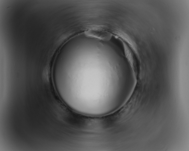 X0000093120107200710031341