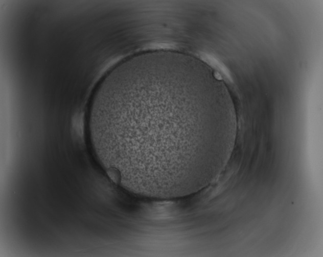 X0000093120108200710031341