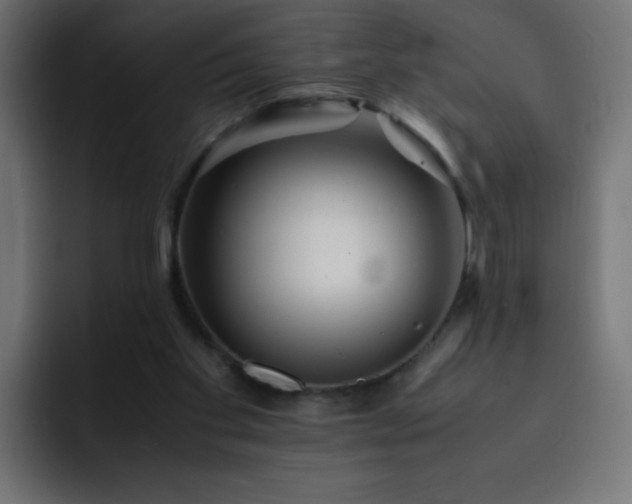 X0000093120109200710031341