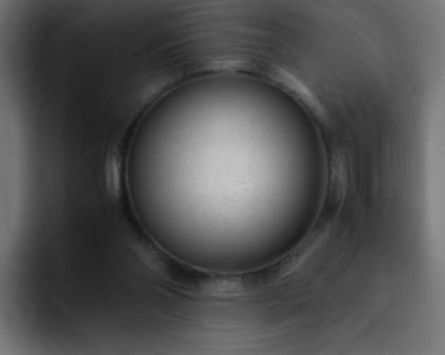 X0000093120110200710031341