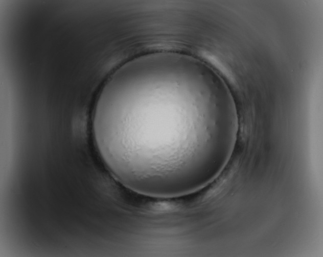 X0000093120111200710031341