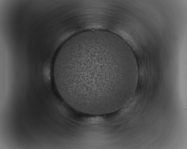 X0000093120112200710031341