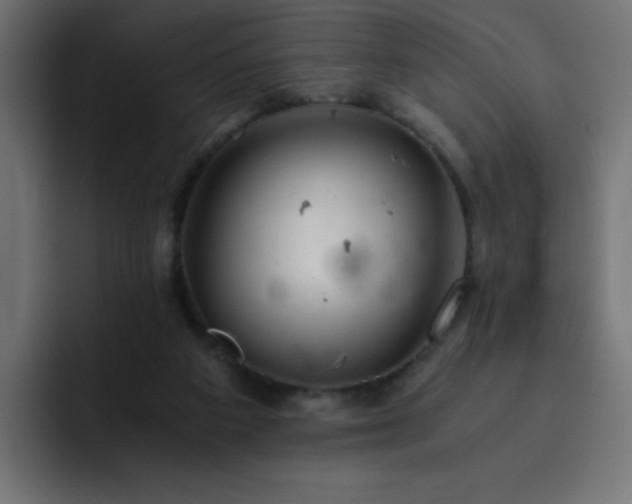 X0000093120113200710031341