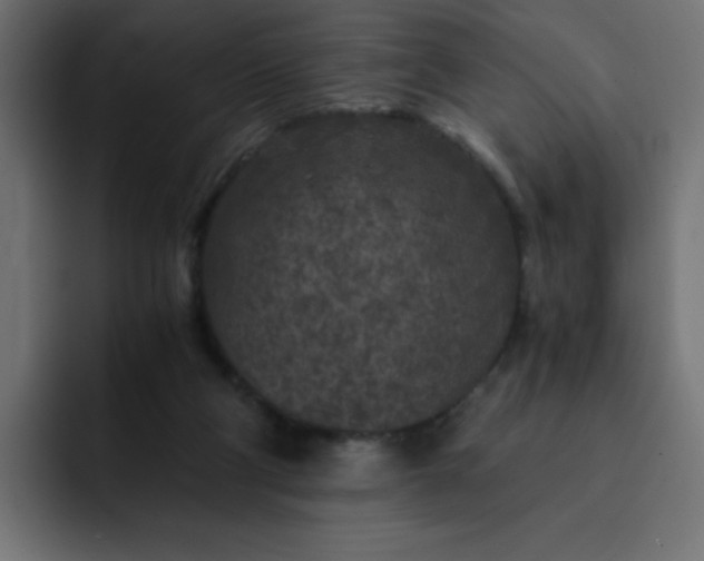 X0000093120114200710031341