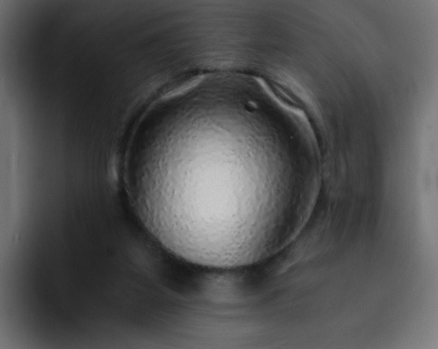 X0000093120115200710031341