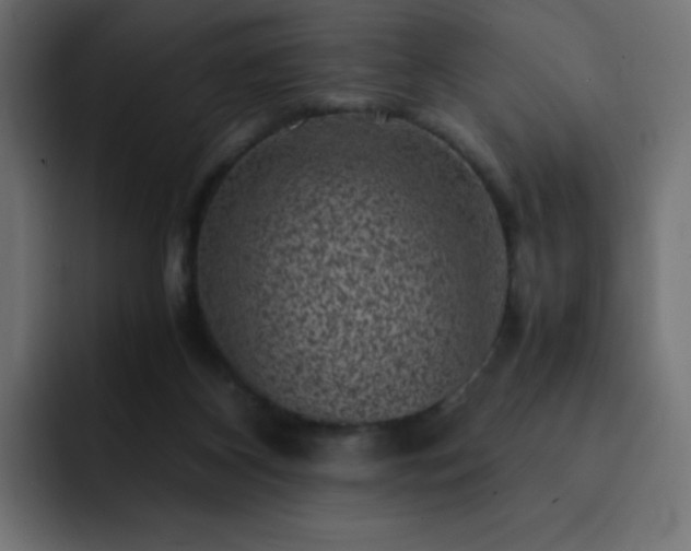 X0000093120116200710031341