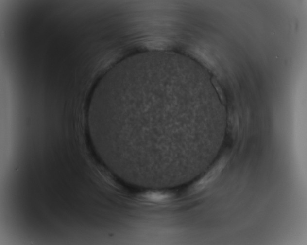 X0000093120117200710031341