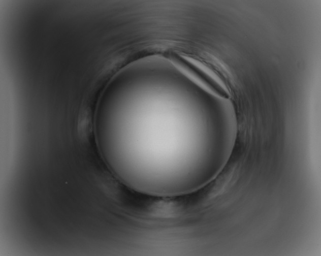 X0000093120119200710031341