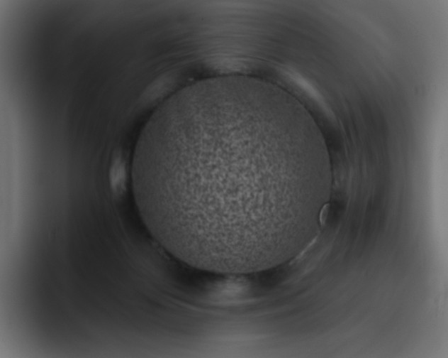 X0000093120124200710031341