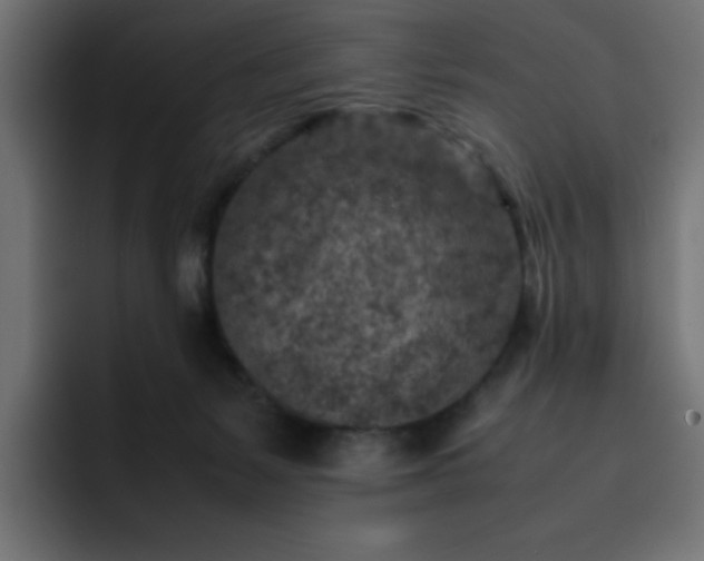 X0000093120127200710031341